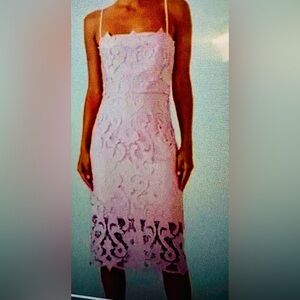 Bardot Australia Design Lina Pink Rose Lace Sheath Midi Dress Size US 8M